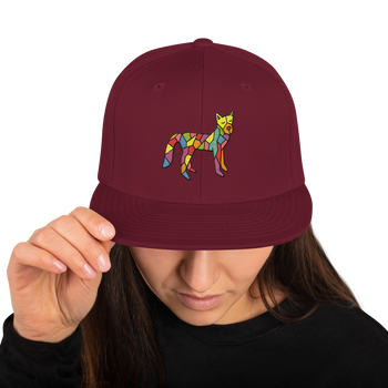 Snapback Hat